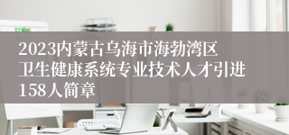 2023内蒙古乌海市海勃湾区卫生健康系统专业技术人才引进158人简章