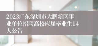 2023广东深圳市大鹏新区事业单位招聘高校应届毕业生14人公告