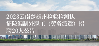 2023云南楚雄州检验检测认证院编制外职工（劳务派遣）招聘20人公告