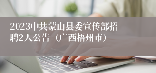 2023中共蒙山县委宣传部招聘2人公告（广西梧州市）