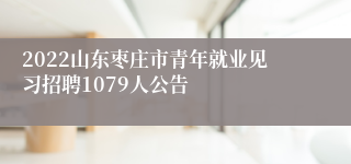 2022山东枣庄市青年就业见习招聘1079人公告