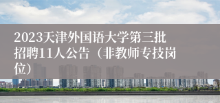 2023天津外国语大学第三批招聘11人公告（非教师专技岗位）