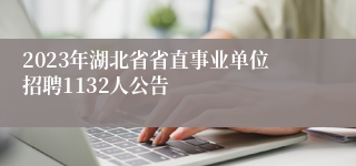 2023年湖北省省直事业单位招聘1132人公告