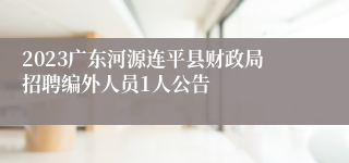 2023广东河源连平县财政局招聘编外人员1人公告