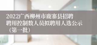 2022广西柳州市鹿寨县招聘聘用控制数人员拟聘用人选公示（第一批）