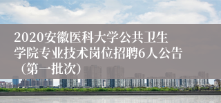 2020安徽医科大学公共卫生学院专业技术岗位招聘6人公告（第一批次）