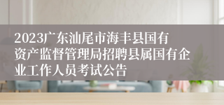 2023广东汕尾市海丰县国有资产监督管理局招聘县属国有企业工作人员考试公告