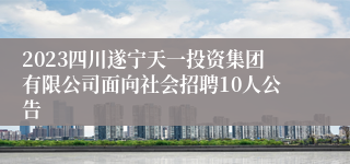 2023四川遂宁天一投资集团有限公司面向社会招聘10人公告