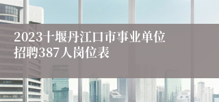 2023十堰丹江口市事业单位招聘387人岗位表