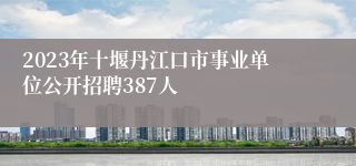 2023年十堰丹江口市事业单位公开招聘387人