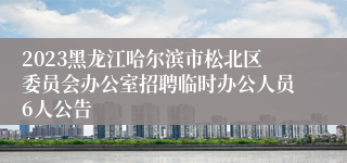 2023黑龙江哈尔滨市松北区委员会办公室招聘临时办公人员6人公告