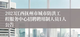 2023江西抚州市城市防洪工程服务中心招聘聘用制人员1人公告