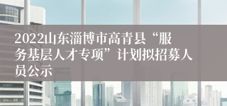 2022山东淄博市高青县“服务基层人才专项”计划拟招募人员公示