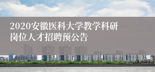 2020安徽医科大学教学科研岗位人才招聘预公告