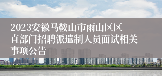 2023安徽马鞍山市雨山区区直部门招聘派遣制人员面试相关事项公告