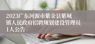 2023广东河源市紫金县紫城镇人民政府招聘规划建设管理员1人公告