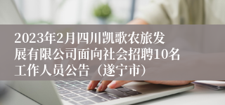 2023年2月四川凯歌农旅发展有限公司面向社会招聘10名工作人员公告（遂宁市）