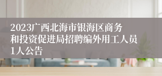 2023广西北海市银海区商务和投资促进局招聘编外用工人员1人公告