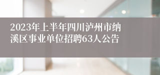 2023年上半年四川泸州市纳溪区事业单位招聘63人公告