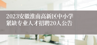 2023安徽淮南高新区中小学紧缺专业人才招聘20人公告