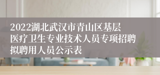 2022湖北武汉市青山区基层医疗卫生专业技术人员专项招聘拟聘用人员公示表