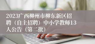 2023广西柳州市柳东新区招聘（自主招聘）中小学教师13人公告（第二批）