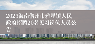 2023海南儋州市雅星镇人民政府招聘20名见习岗位人员公告