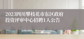 2023四川攀枝花市东区政府投资评审中心招聘1人公告