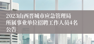 2023山西晋城市应急管理局所属事业单位招聘工作人员4名公告