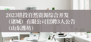 2023铁投自然资源综合开发（诸城）有限公司招聘3人公告（山东潍坊）