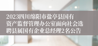 2023四川绵阳市盐亭县国有资产监督管理办公室面向社会选聘县属国有企业总经理2名公告