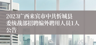 2023广西来宾市中共忻城县委统战部招聘编外聘用人员1人公告