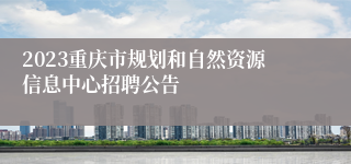 2023重庆市规划和自然资源信息中心招聘公告