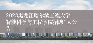 2023黑龙江哈尔滨工程大学智能科学与工程学院招聘1人公告