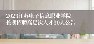 2023江苏电子信息职业学院长期招聘高层次人才30人公告