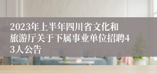 2023年上半年四川省文化和旅游厅关于下属事业单位招聘43人公告