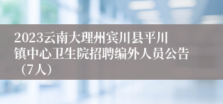 2023云南大理州宾川县平川镇中心卫生院招聘编外人员公告（7人）