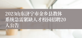 2023山东济宁市金乡县教体系统急需紧缺人才校园招聘20人公告