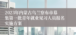 2023年内蒙古乌兰察布市募集第一批青年就业见习人员报名实施方案