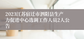 2023江苏宿迁市泗阳县生产力促进中心选调工作人员2人公告