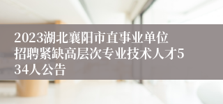 2023湖北襄阳市直事业单位招聘紧缺高层次专业技术人才534人公告