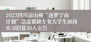 2023四川凉山州“逐梦宁南计划”急需紧缺专业大学生顶岗实习招募30人公告