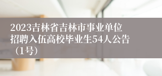 2023吉林省吉林市事业单位招聘入伍高校毕业生54人公告（1号）