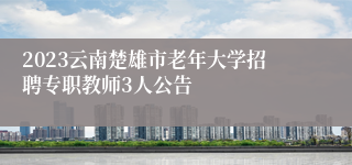 2023云南楚雄市老年大学招聘专职教师3人公告