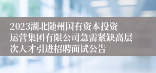 2023湖北随州国有资本投资运营集团有限公司急需紧缺高层次人才引进招聘面试公告