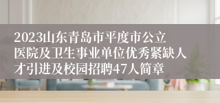 2023山东青岛市平度市公立医院及卫生事业单位优秀紧缺人才引进及校园招聘47人简章