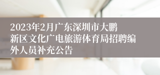 2023年2月广东深圳市大鹏新区文化广电旅游体育局招聘编外人员补充公告