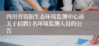 四川省资阳生态环境监测中心站关于招聘1名环境监测人员的公告