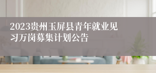 2023贵州玉屏县青年就业见习万岗募集计划公告