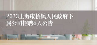 2023上海康桥镇人民政府下属公司招聘6人公告